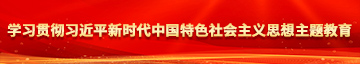 大鸡巴操射插学习贯彻习近平新时代中国特色社会主义思想主题教育